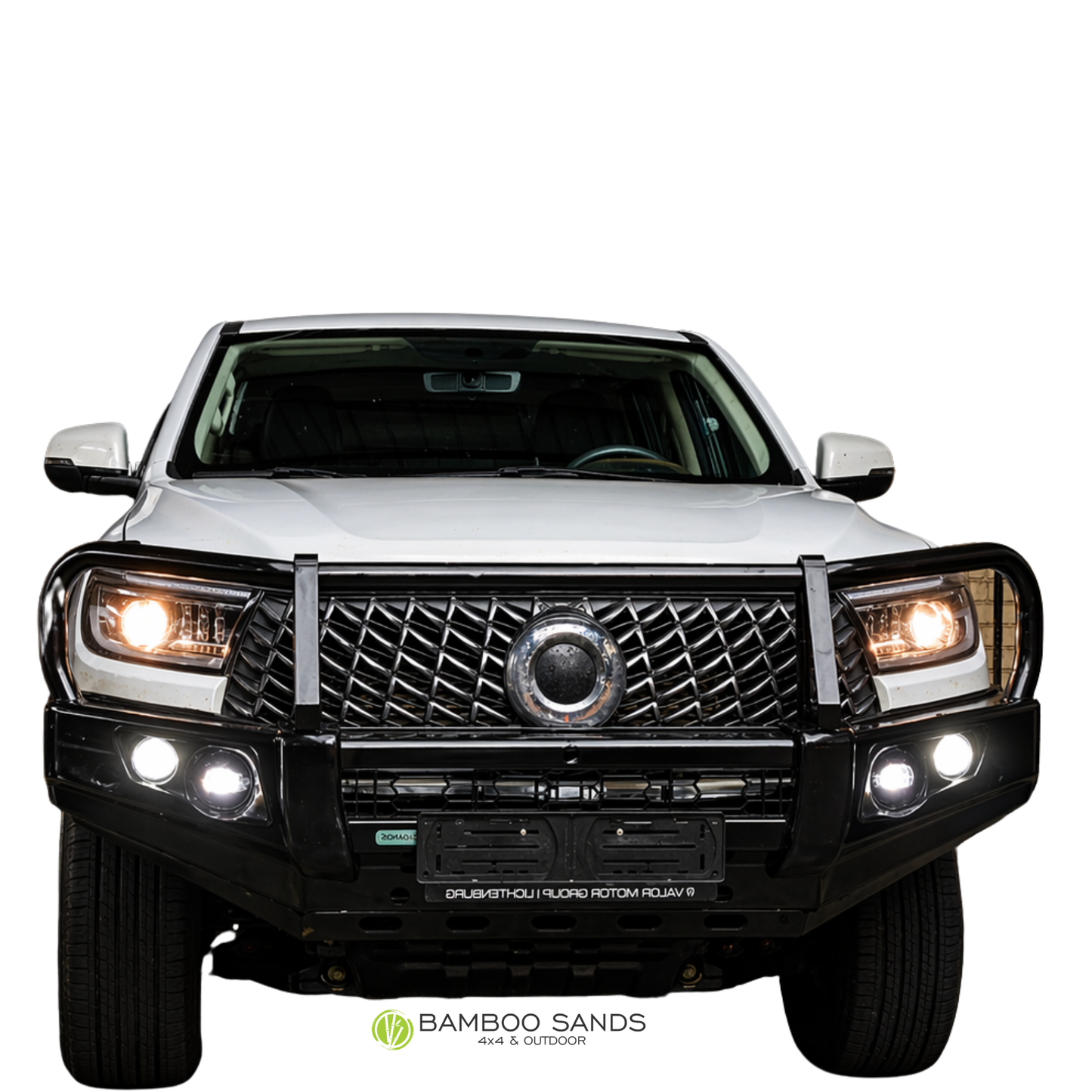 GWM P300/P Series Commencial SX Full Loop Front Replacement Bumper