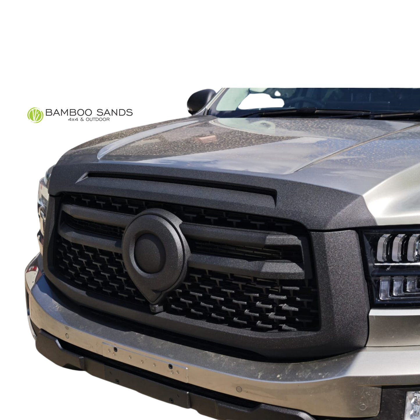 GWM P300/P Series Raptor Coating