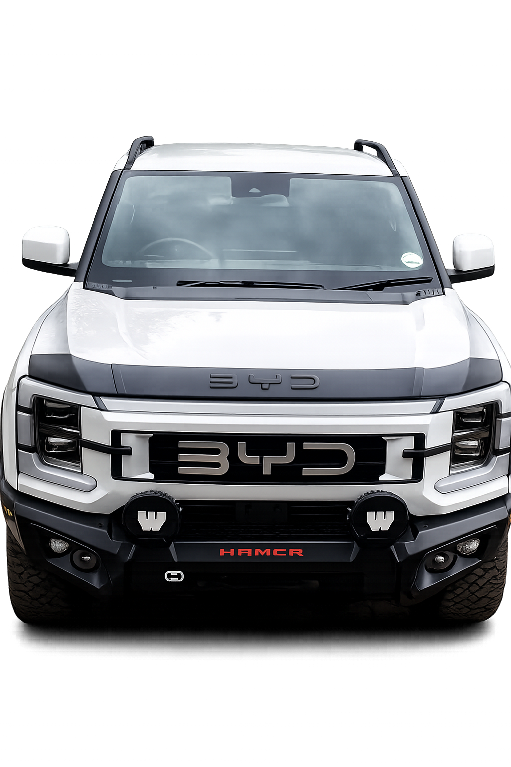 BYD Shark 6 3 Piece Bonnet Guard